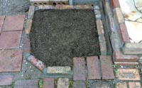 作った花壇の土壌改良