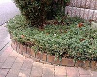 門の横の花壇レンガ
