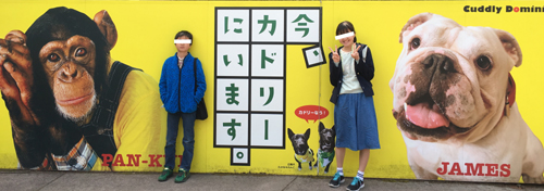 ݂₴팀