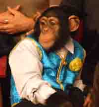 カドリードミニオンの人気者パンくん