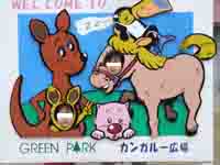 �p�l���B�e