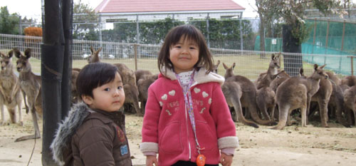 �J���K���[�L��