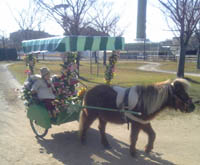 �|�j�[�n��