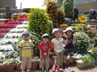 �t�����[��