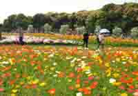 �R�X���X��