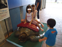 �y���M�������ق̃V���{���H