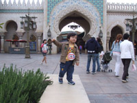 �A���W���O