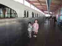 �f�B�Y�j�[���]�[�g���C��