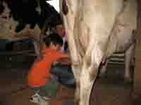 �ǂ񂮂葺�œ����ڂ�