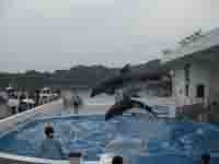 �C�����^�C���J�V���[�F�����ۗ��s�L