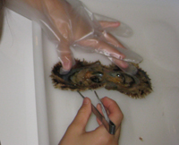 �C�����^�^��̋ʂƂ�