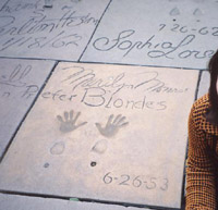 �X�^�[�̎�`