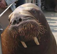 ���݂��܂��̐l�C��