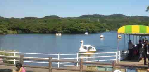 �O���[���p�[�N�r