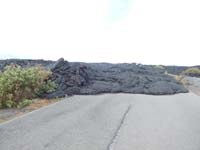 ハワイならではの光景