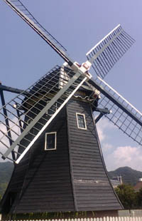 ����n�E�X�e���{�X�̏ے��F�I�����_����