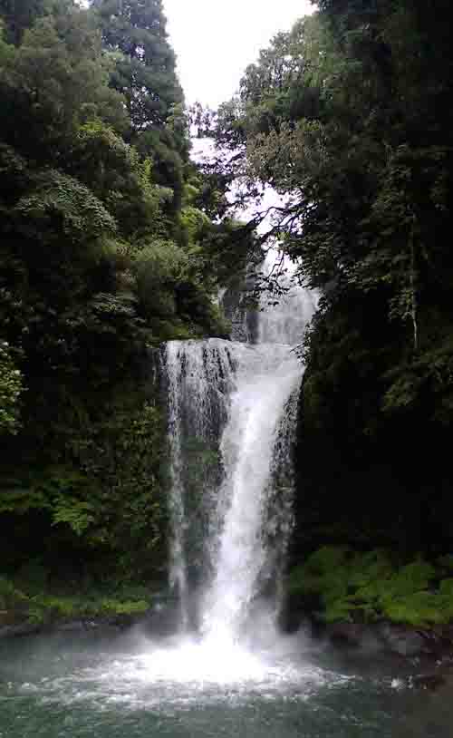 �����̑�