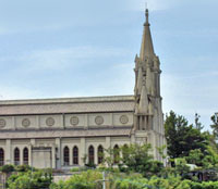 �ɉ������V���V�哰