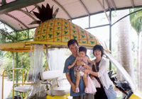 �p�C�i�b�v����