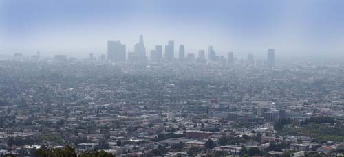 �E�G�X�g�R�[�X�g���