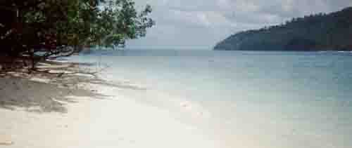 ���s�L�F�����J�E�C���̃r�[�`